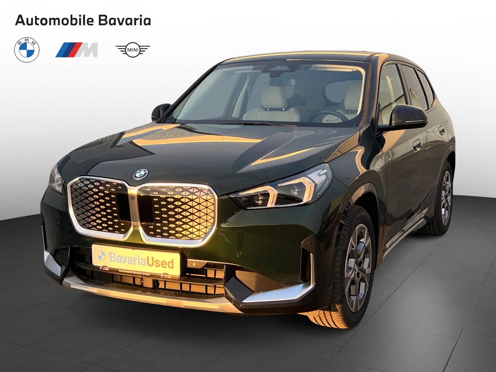 BMW X1, IX1 XDRIVE30, 2023, 4329 km