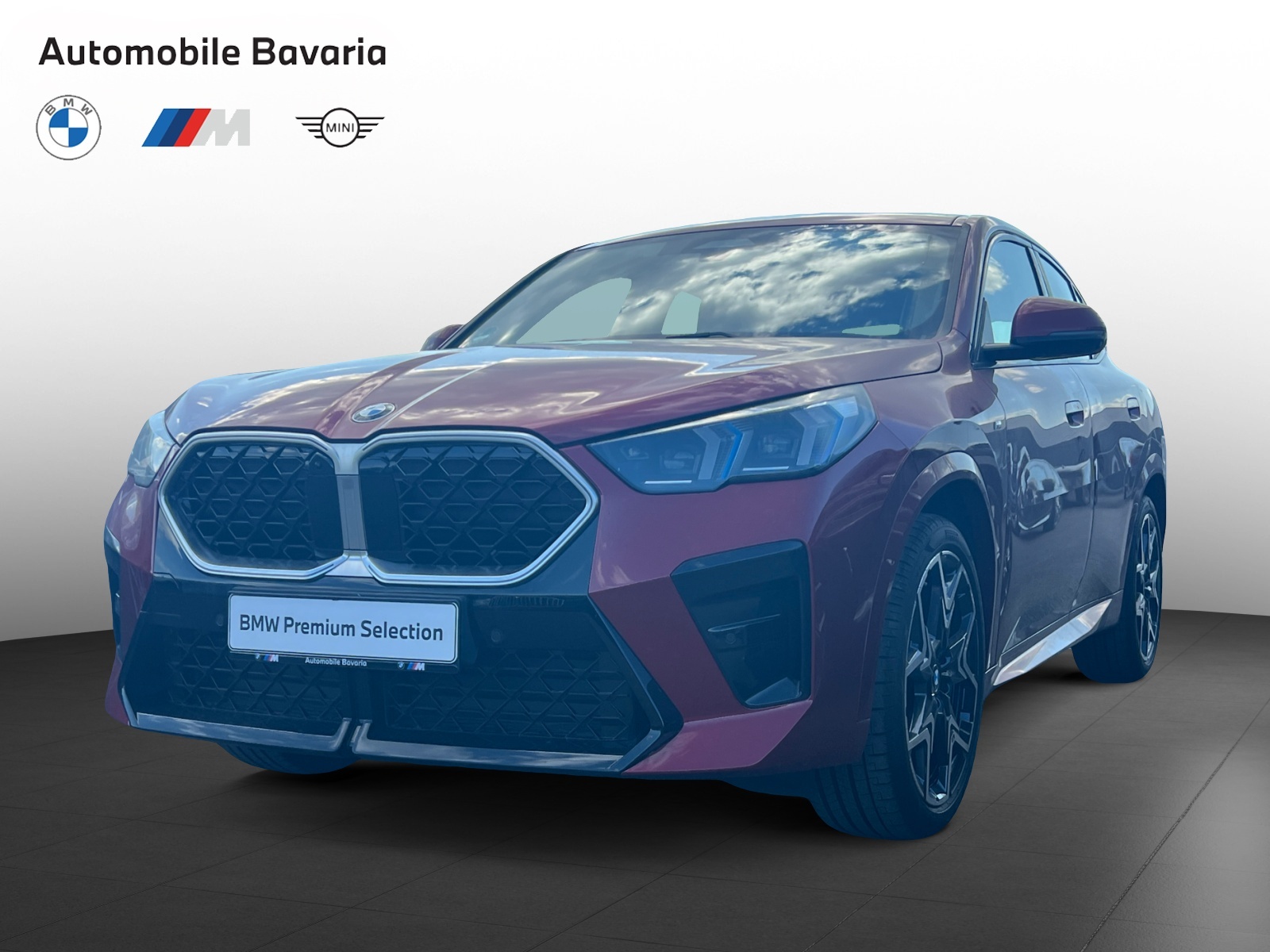BMW X2, X2 XDRIVE20D, 2024, 8100 km