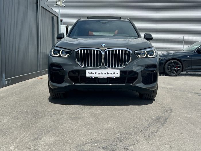 BMW X5, X5 XDRIVE30D, 2021, 51600 km