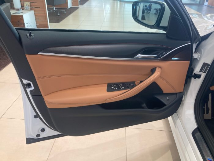 BMW Seria 5, 520D, 2020, 91300 km