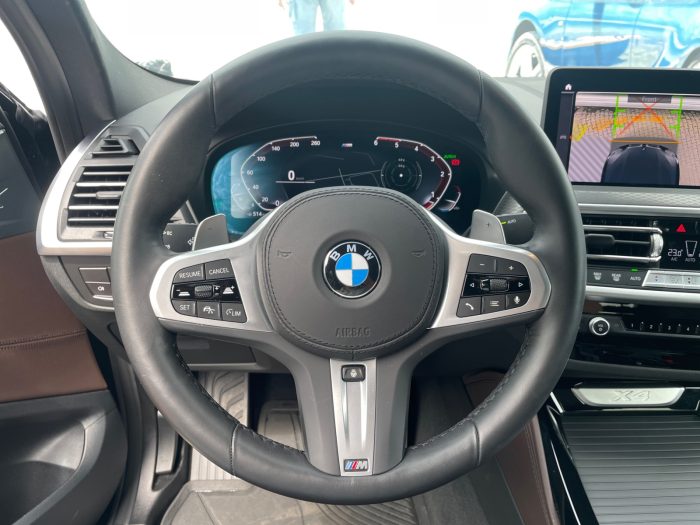 BMW X4, X4 XDRIVE20D, 2023, 12000 km