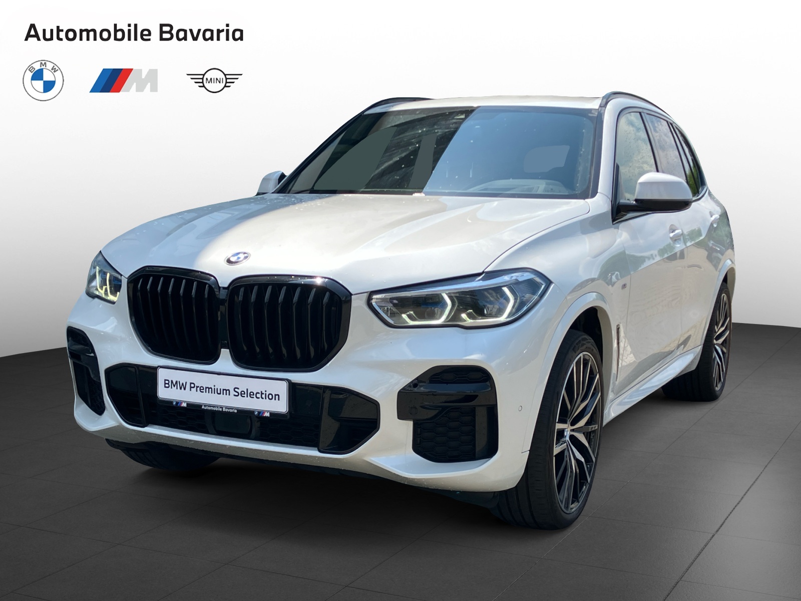 BMW X5, X5 XDRIVE40D, 2021, 85600 km