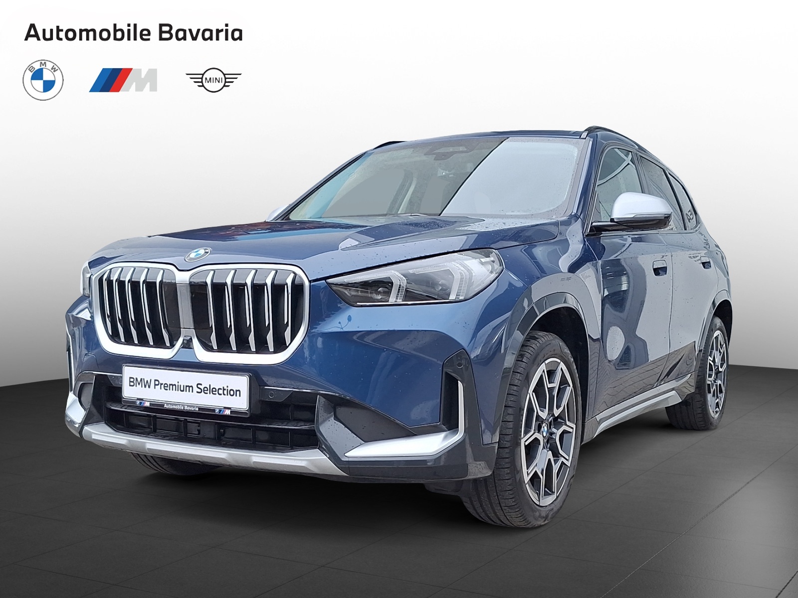 BMW X1, X1 XDRIVE23D, 2024, 83000 km