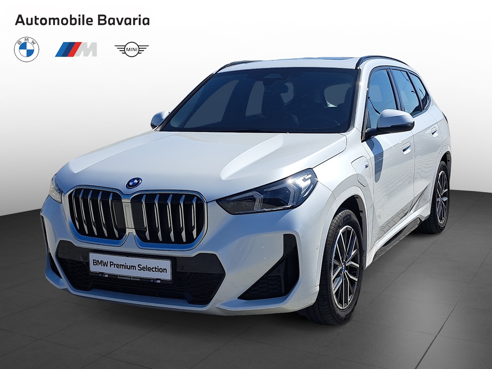 BMW, X1, X1 XDRIVE30E, 2024, 8755 km