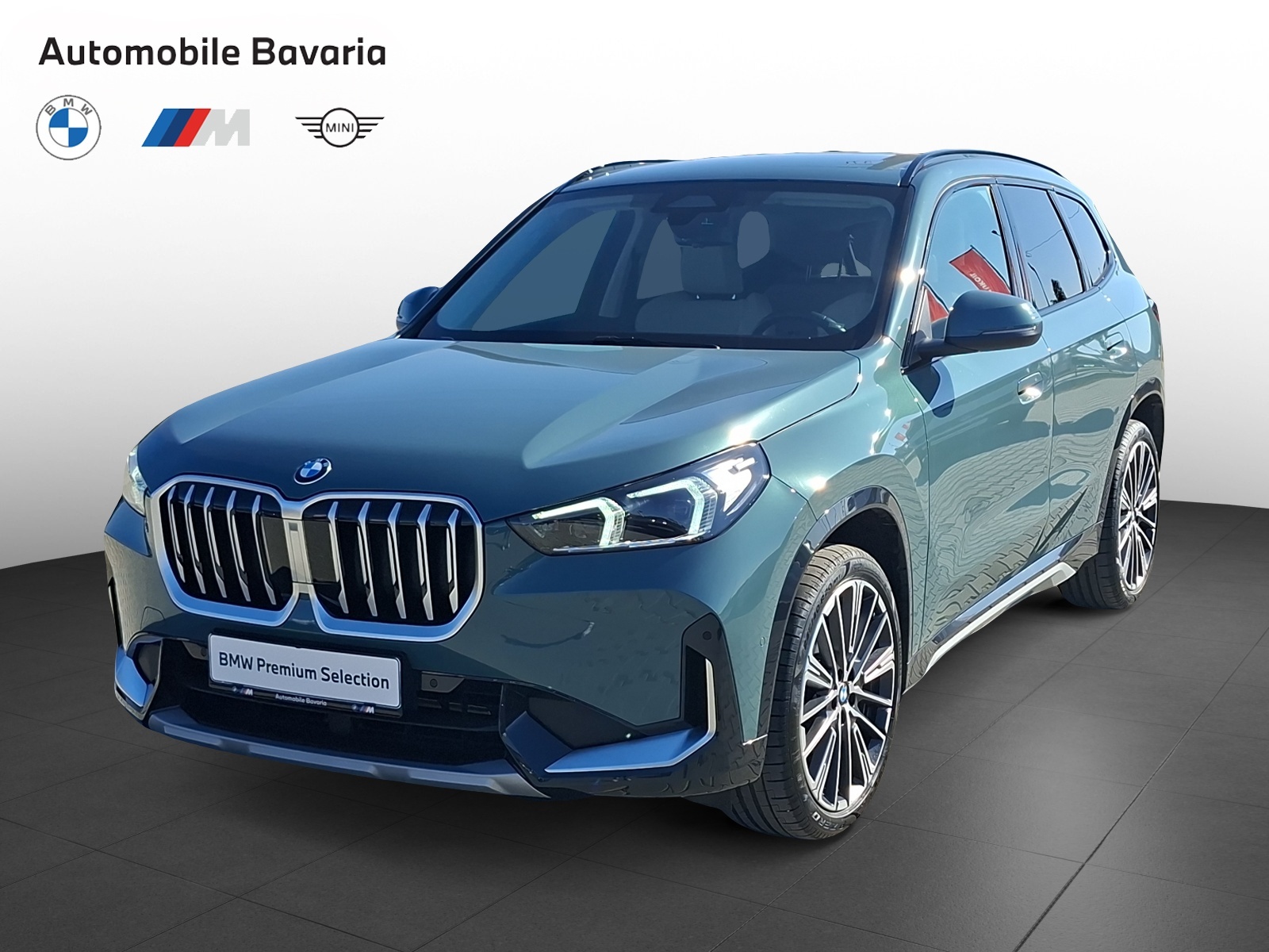 BMW X1, X1 XDRIVE20D, 2024, 24028 km
