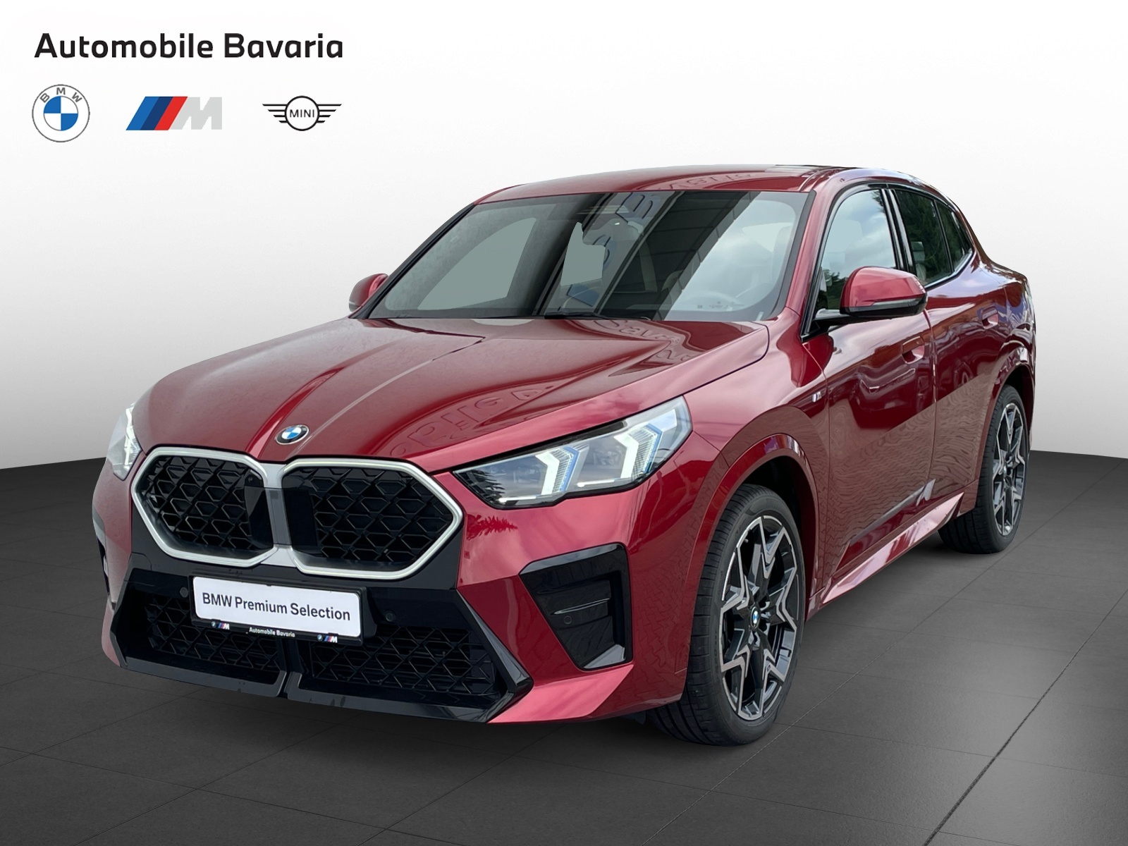 BMW X2, X2 XDRIVE20D, 2024, 8100 km