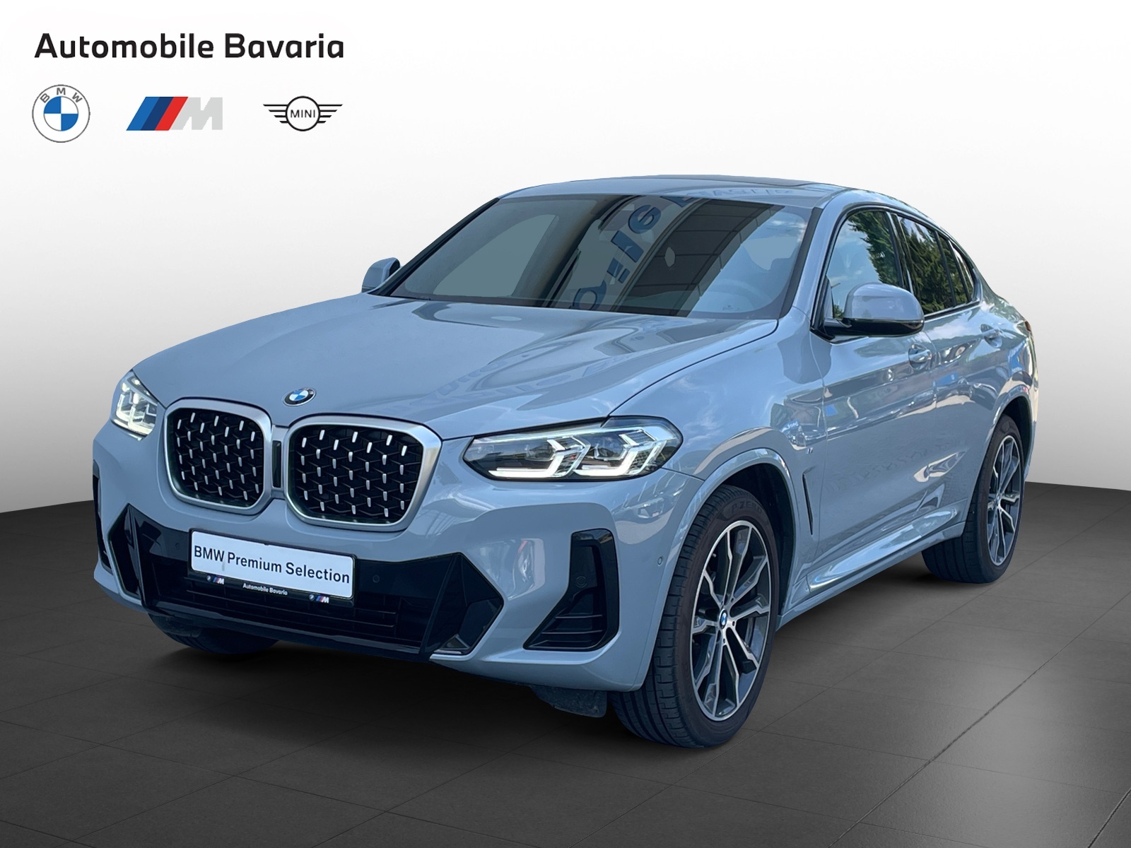 BMW X4, X4 XDRIVE20D, 2023, 6000 km