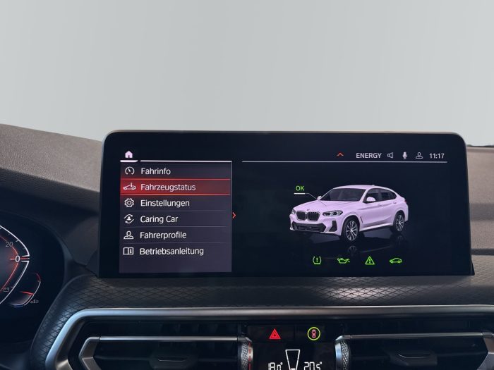 BMW X4, X4 XDRIVE30I, 2024, 25221 km