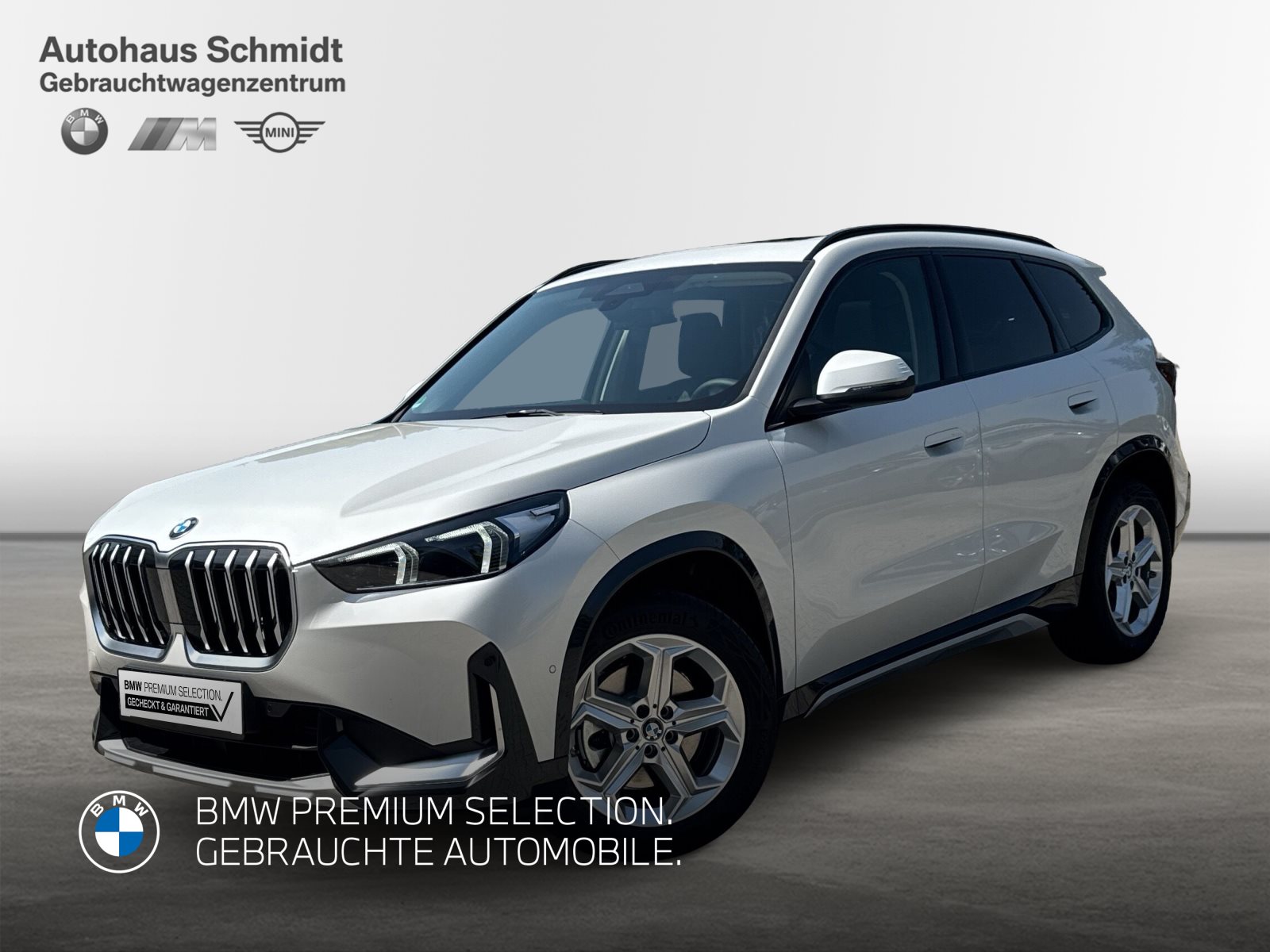 BMW X1, X1 SDRIVE20I, 2024, 1072 km