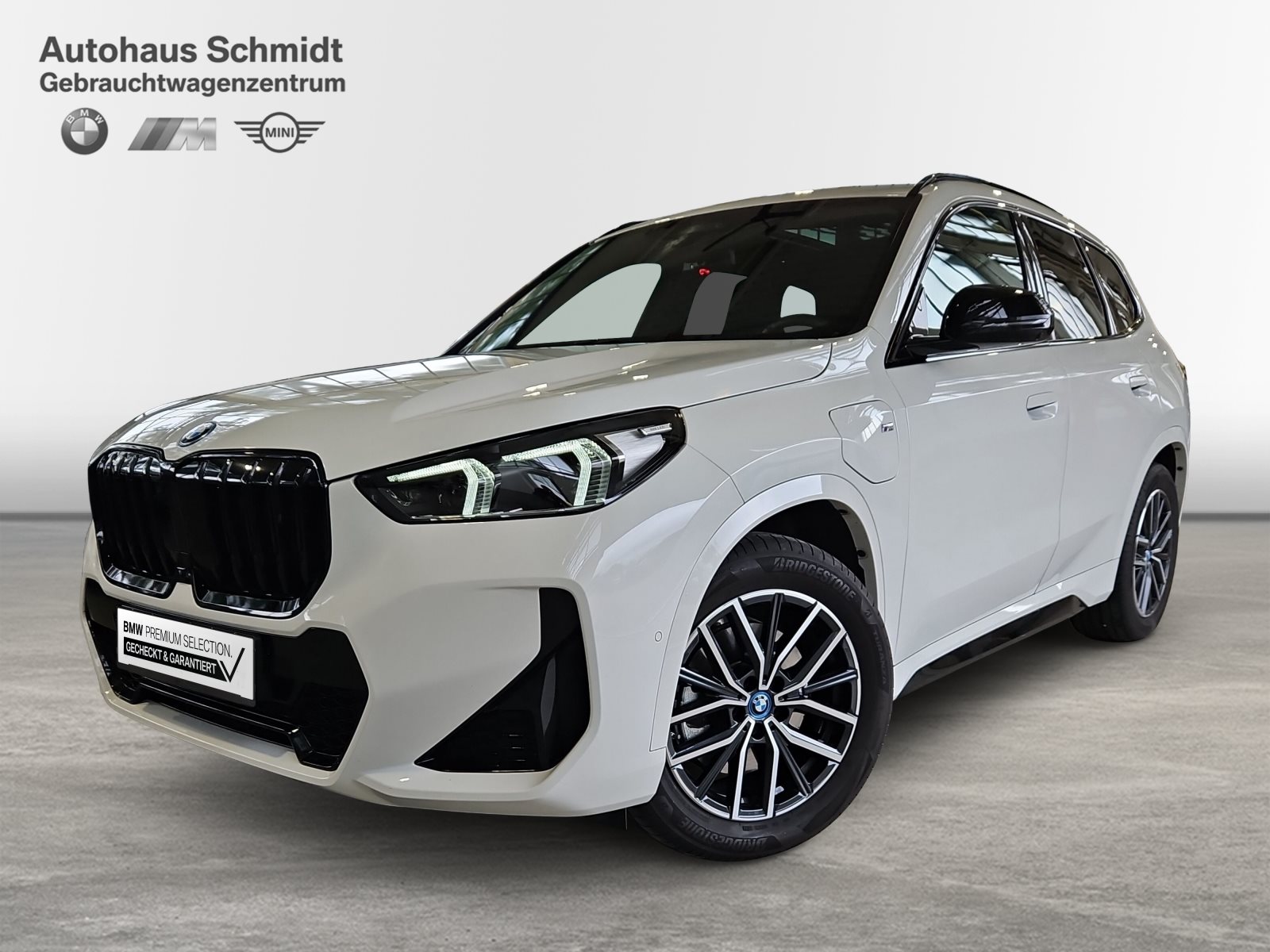 BMW X1, X1 XDRIVE30E, 2024, 17670 km