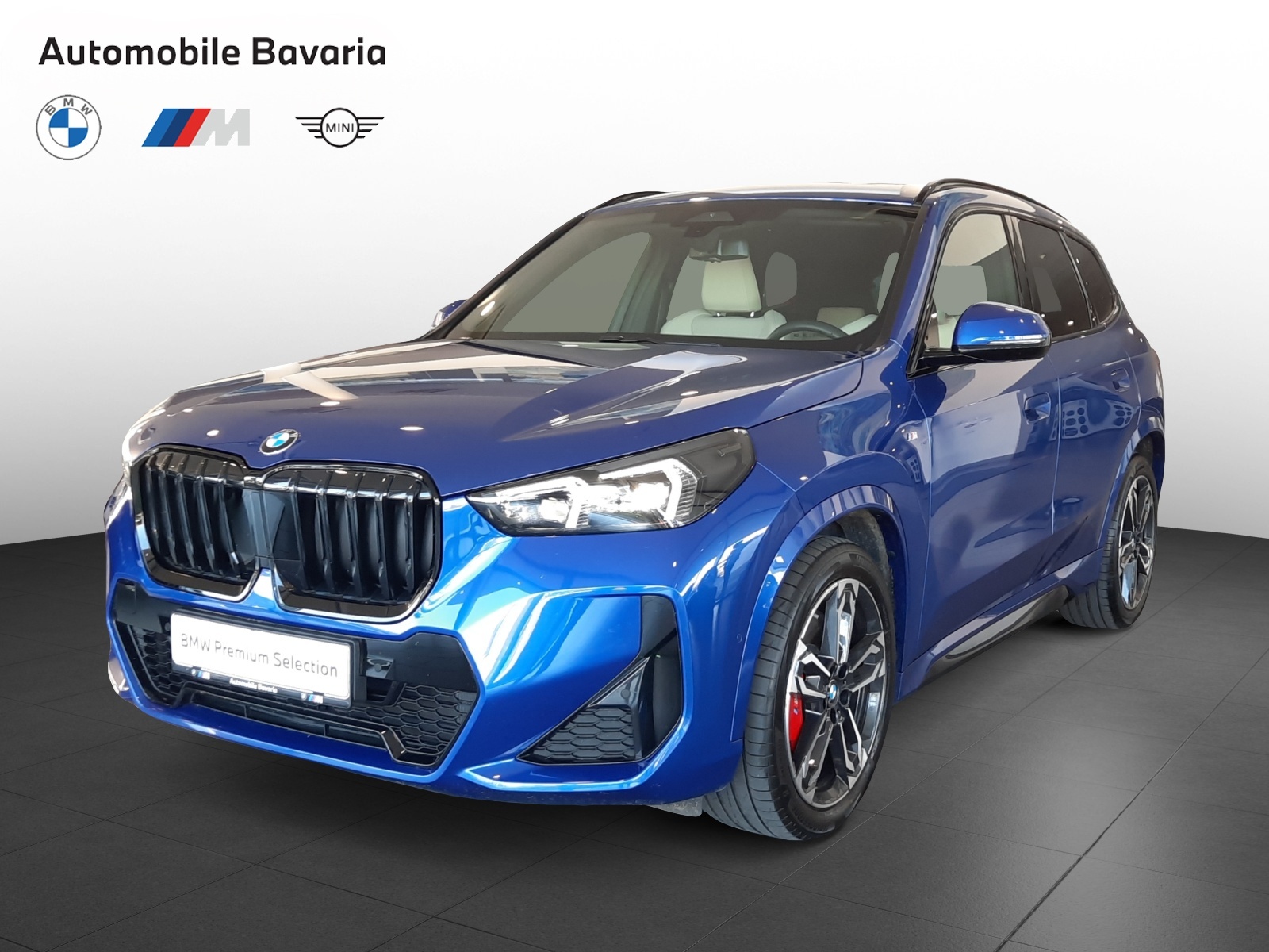 BMW X1, X1 SDRIVE18D, 2024, 13838 km