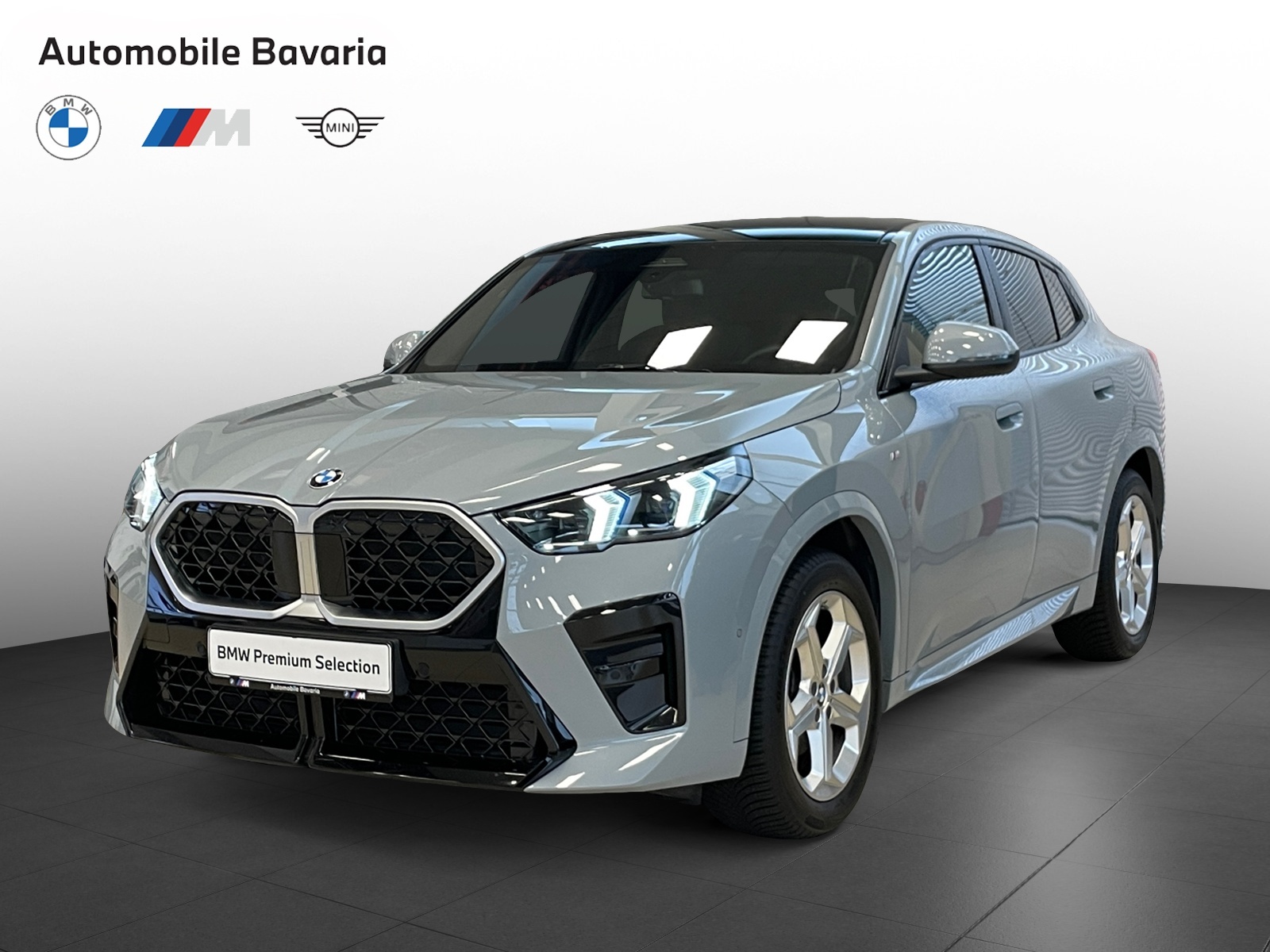 BMW X2, X2 XDRIVE20D, 2024, 20100 km