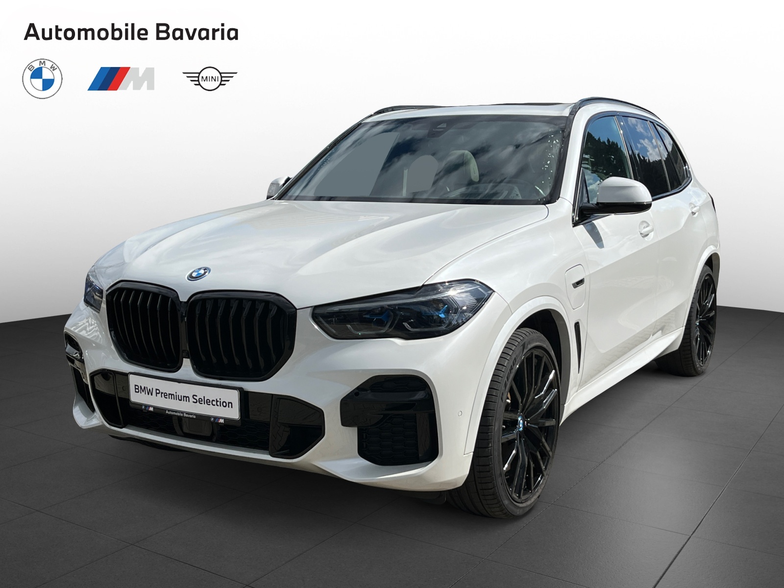 BMW X5, X5 XDRIVE45E, 2022, 45300 km