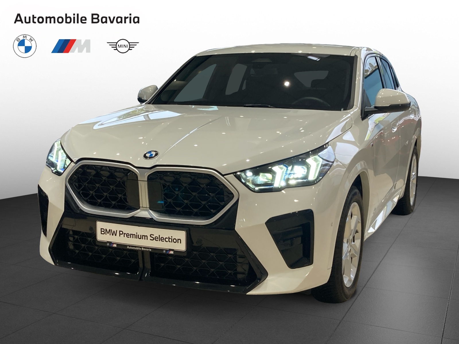 BMW X2, X2 XDRIVE20D, 2024, 25500 km