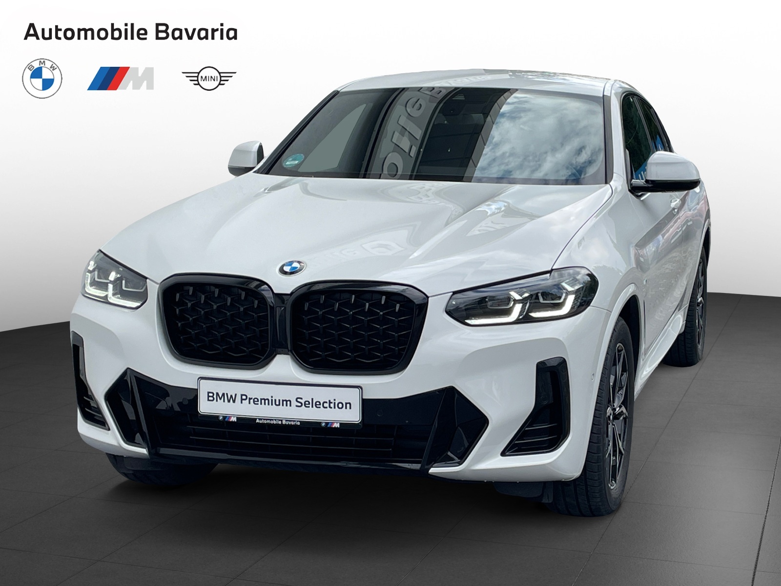 BMW X4, X4 XDRIVE20I, 2024, 7800 km