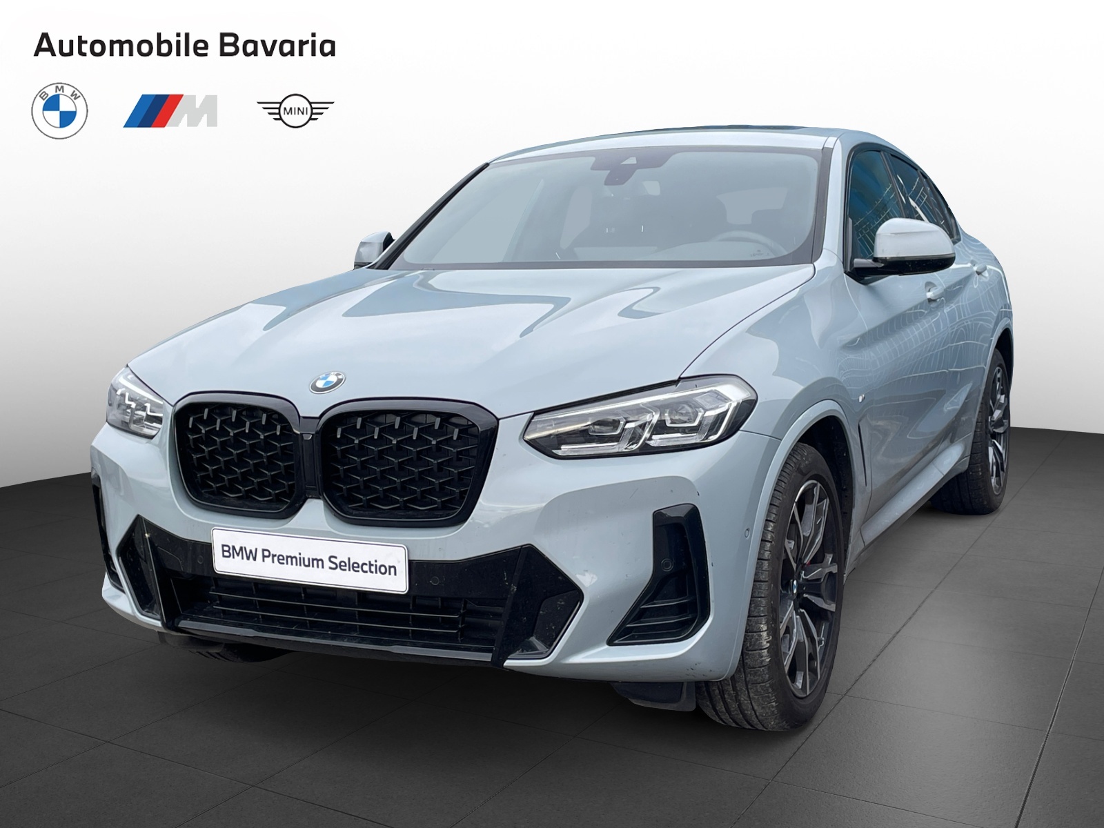 BMW X4, X4 XDRIVE20D, 2024, 6300 km