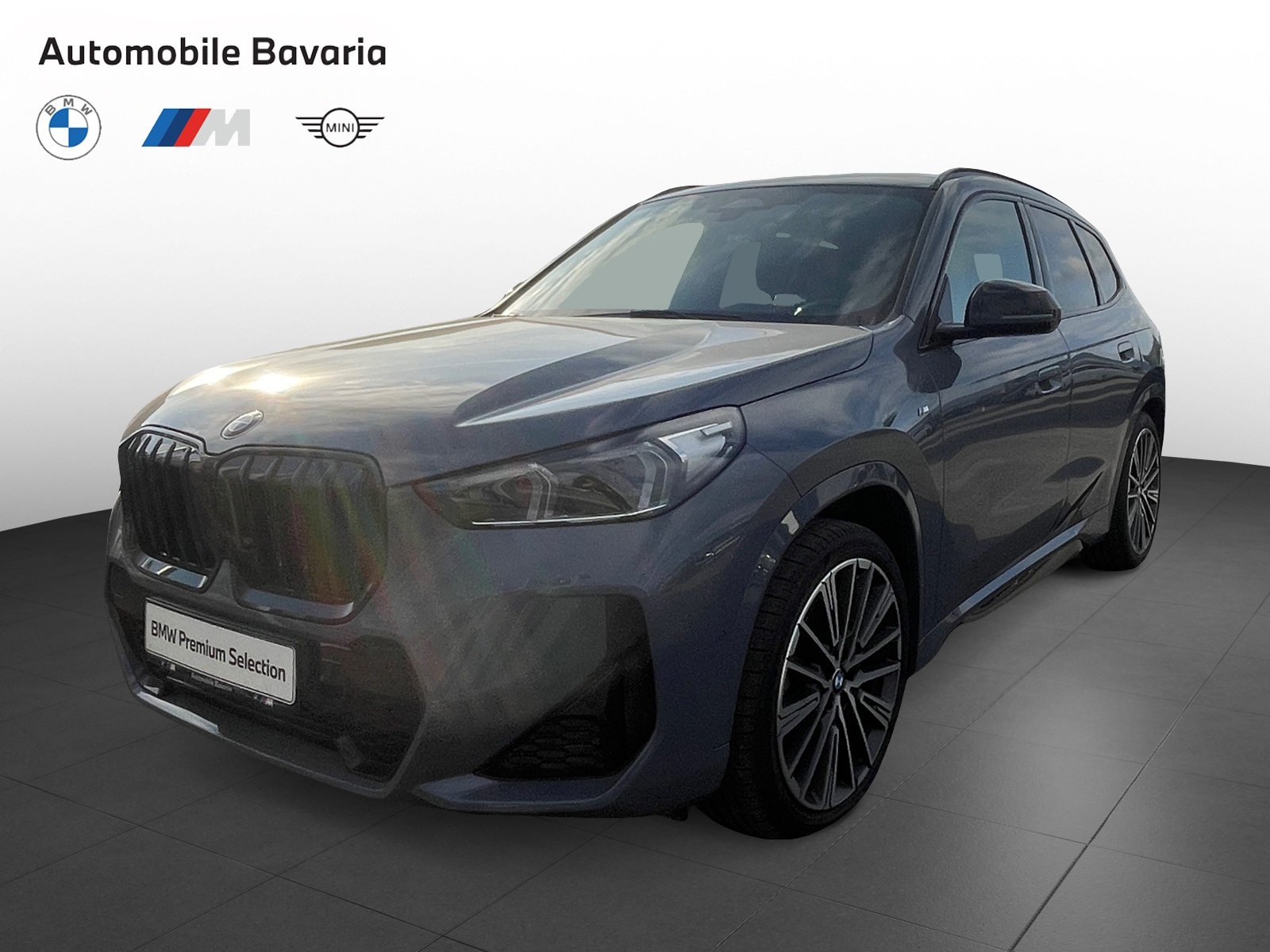 BMW X1, X1 XDRIVE23D, 2023, 43260 km