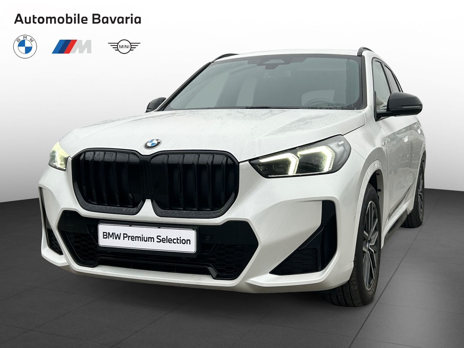 BMW X1, X1 XDRIVE23D, 2023, 82540 km