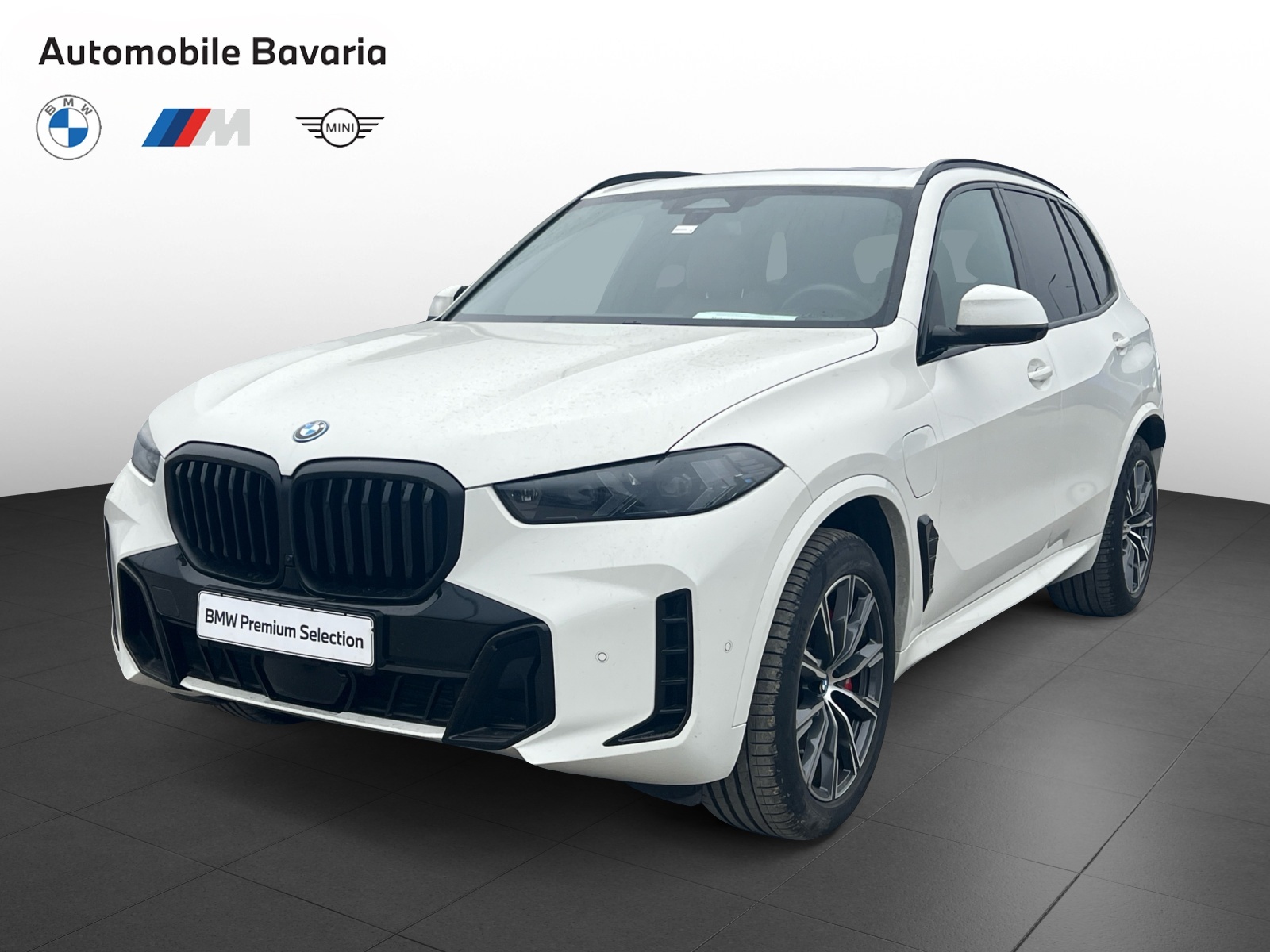 BMW X5, X5 XDRIVE50E, 2025, 9300 km