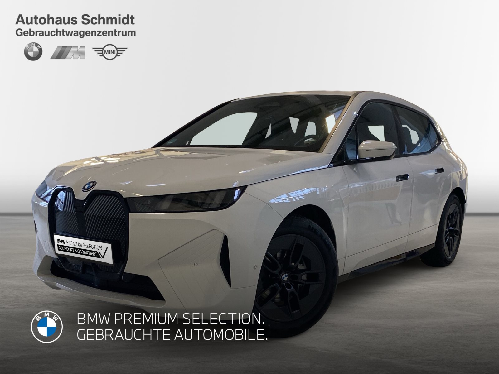 BMW iX, IX XDRIVE45, 2025, 8176 km