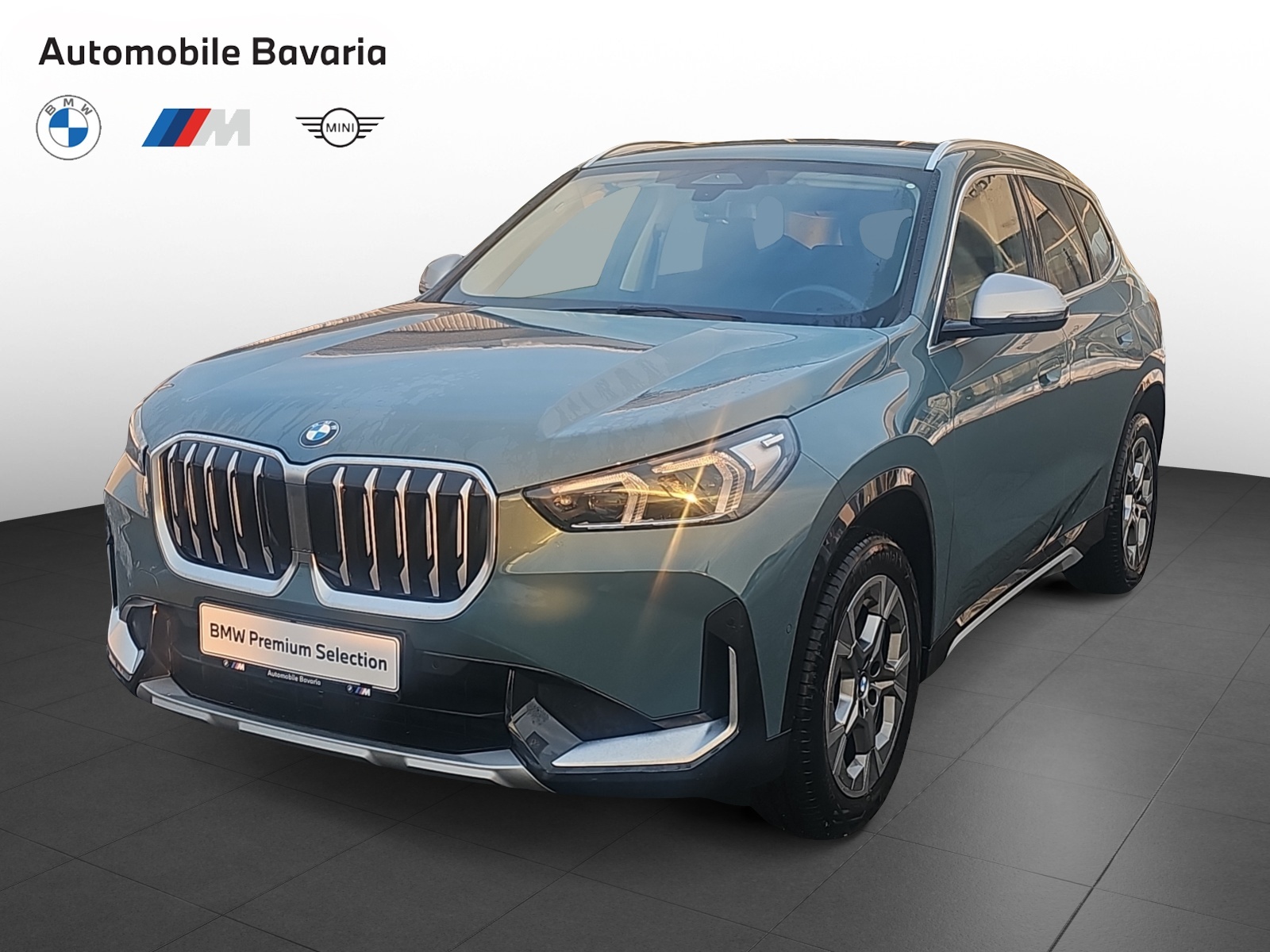 BMW X1, X1 XDRIVE23D, 2023, 48449 km