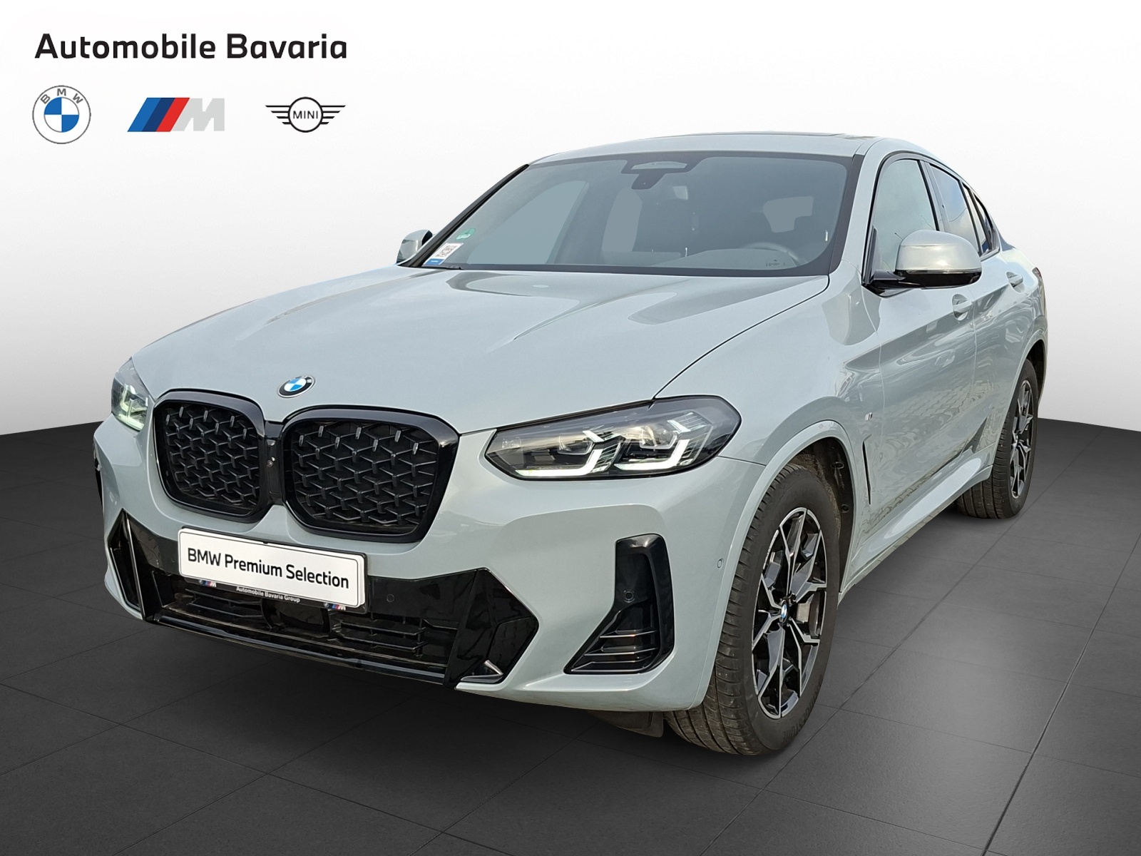 BMW X4, X4 XDRIVE20D, 2024, 21011 km