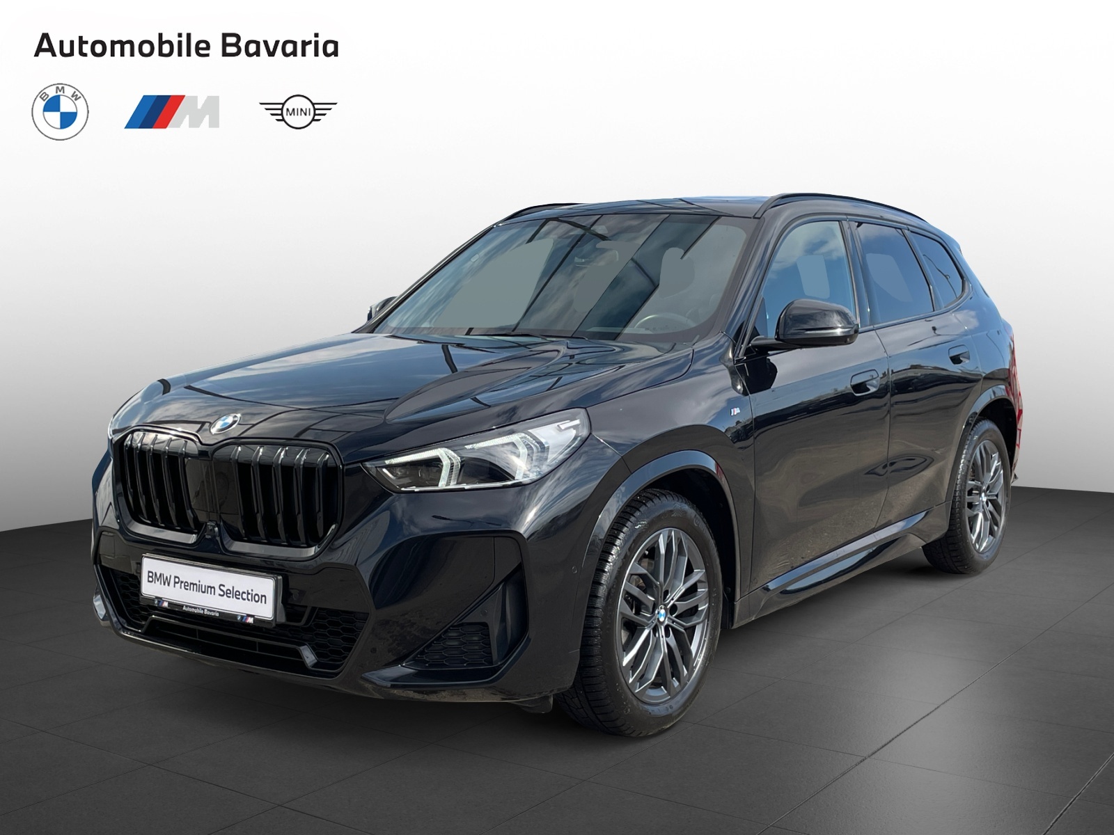 BMW X1, X1 XDRIVE20D, 2023, 42203 km