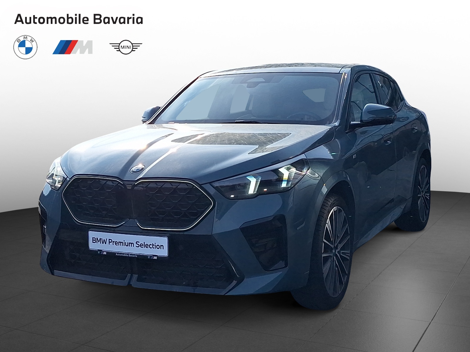 BMW X2, X2 SDRIVE20I, 2024, 4297 km