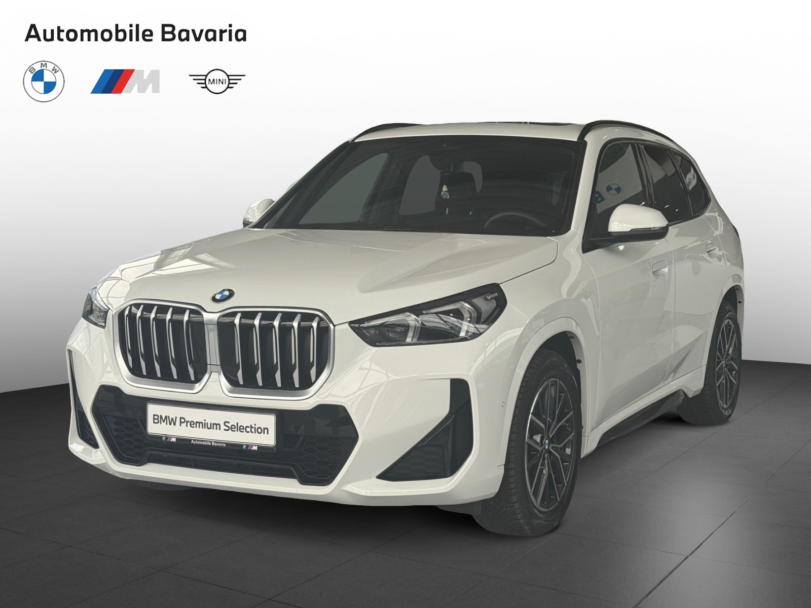 BMW X1, X1 SDRIVE20D, 2025, 8780 km