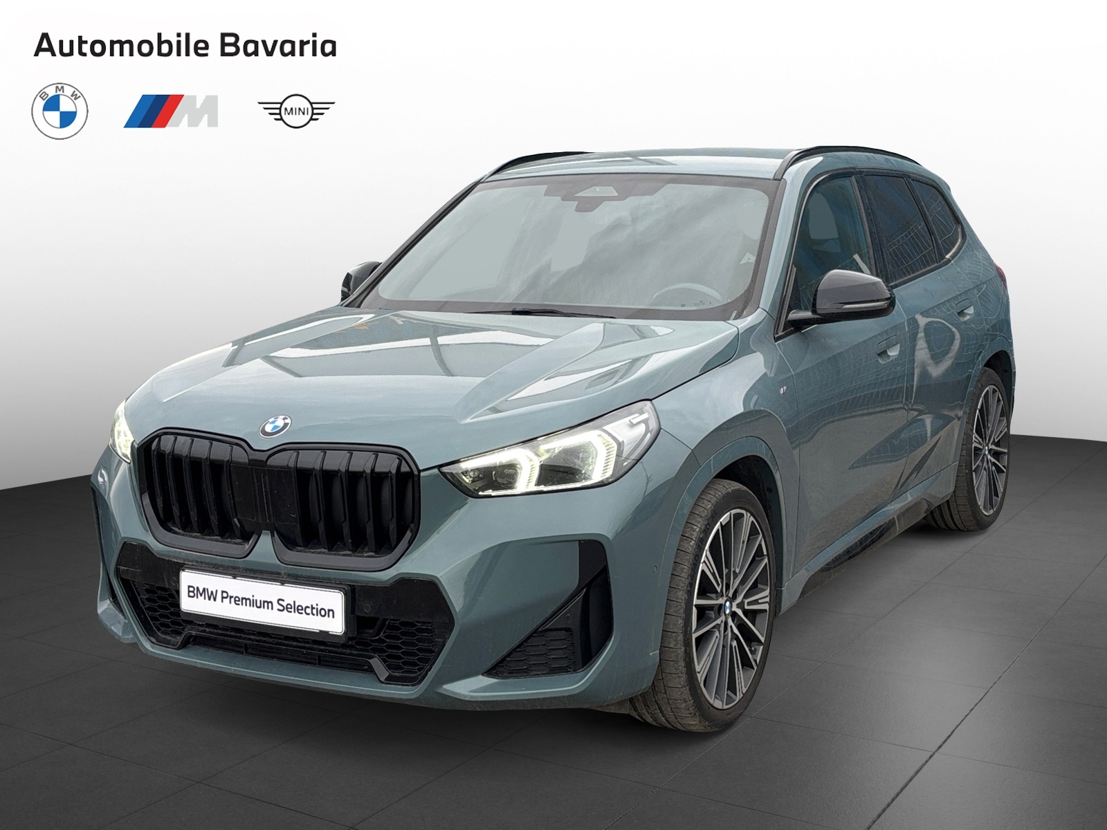 BMW X1, X1 XDRIVE23D, 2023, 107311 km