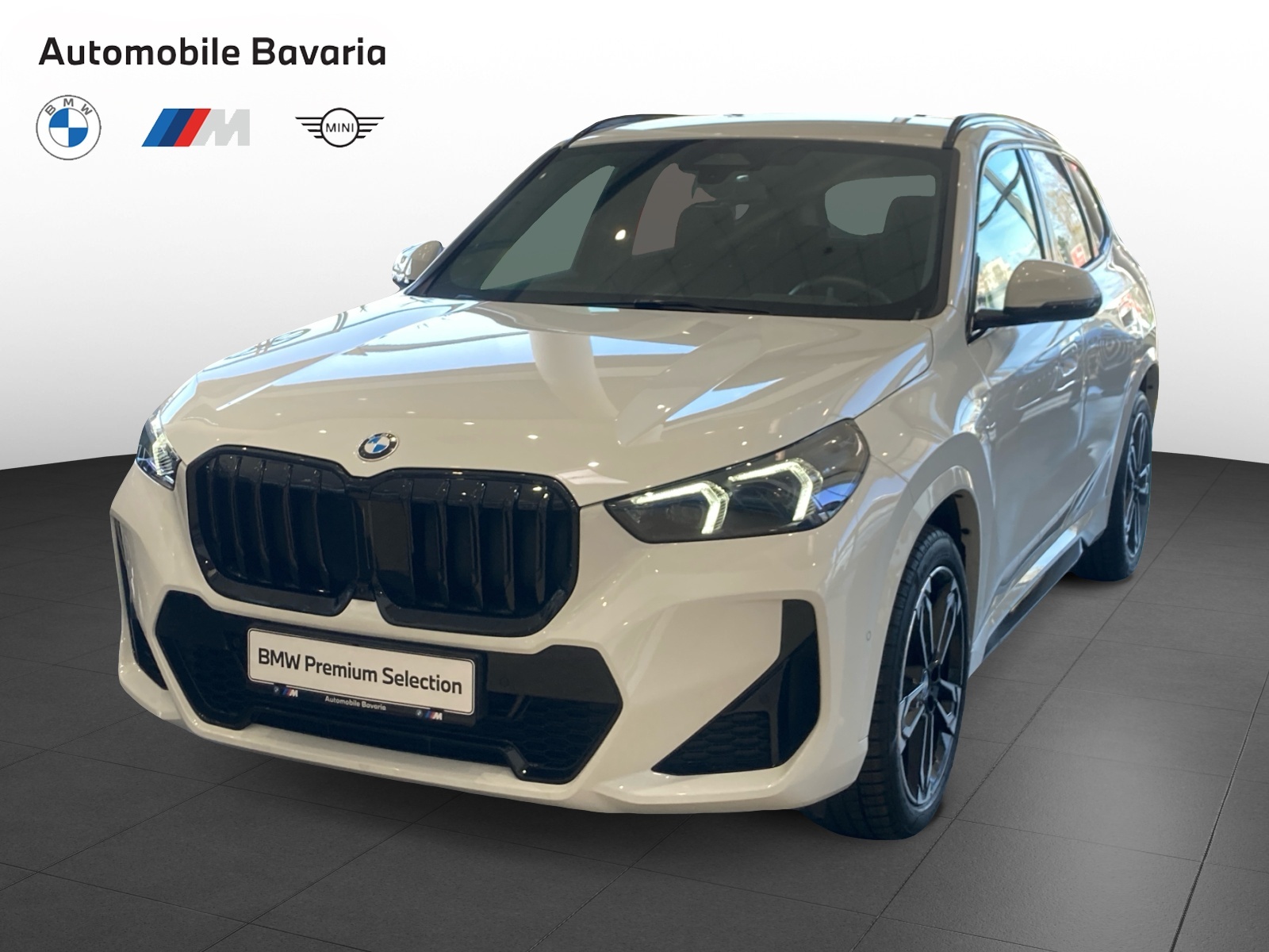 BMW X1, X1 SDRIVE20D, 2025, 7537 km