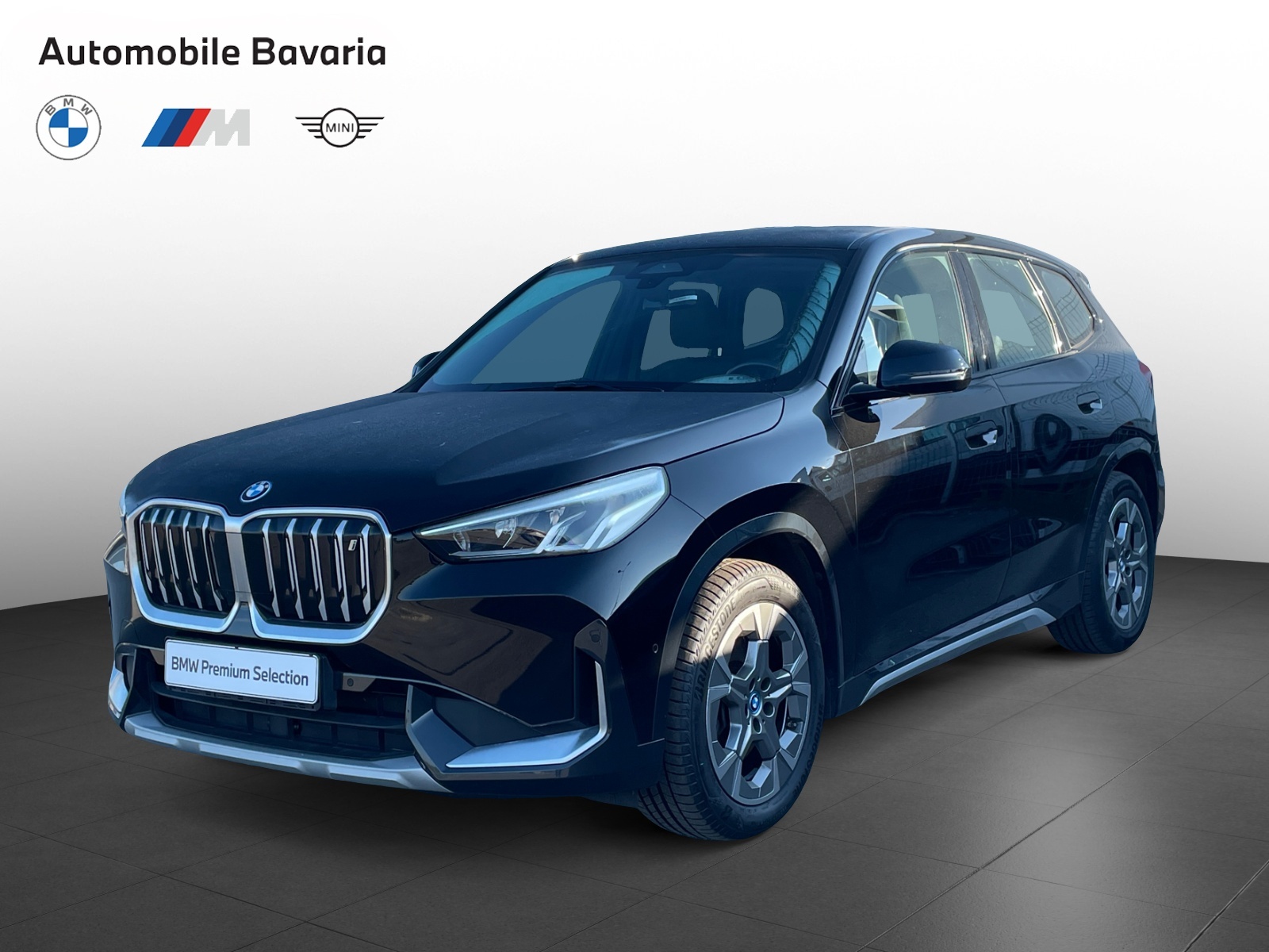 BMW, X1, IX1 XDRIVE30, 2023, 65300 km