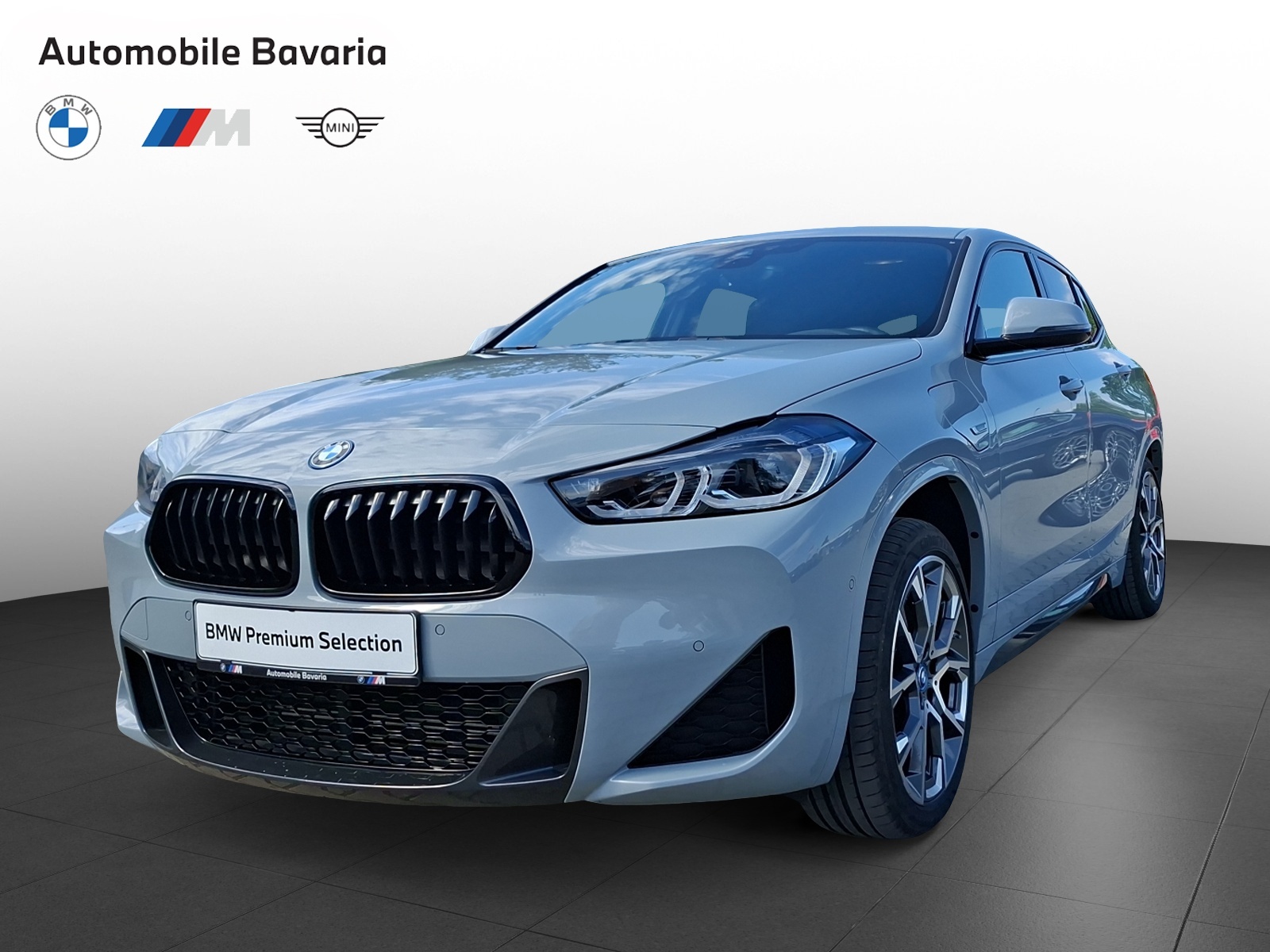 BMW, X2, X2 XDRIVE25E, 2022, 36300 km