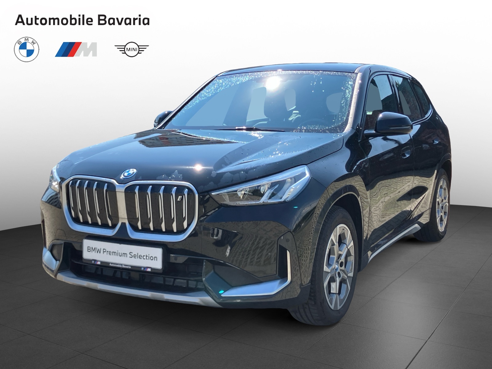 BMW, X1, IX1 XDRIVE30, 2023, 65300 km
