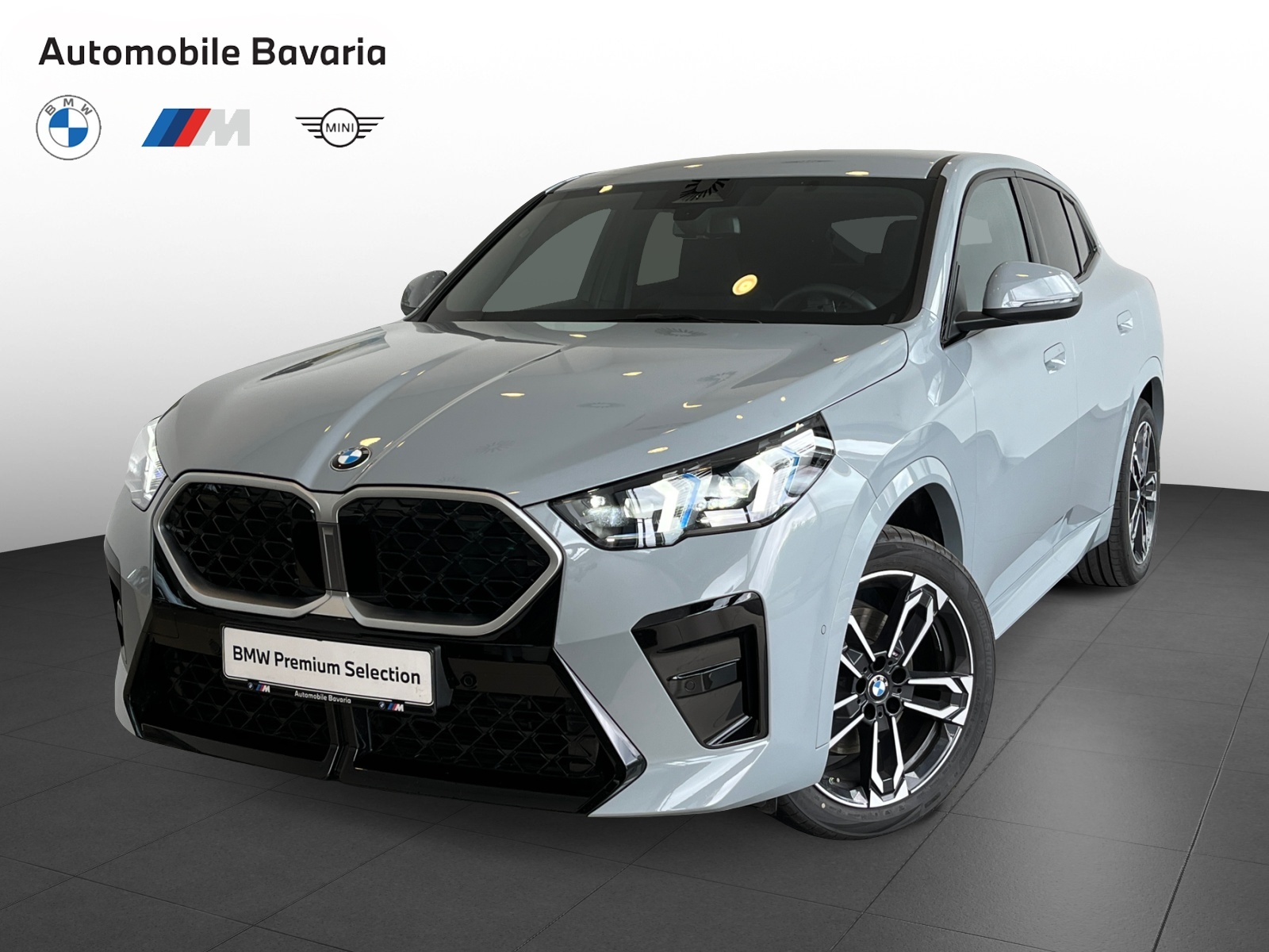 X2 SDRIVE20I