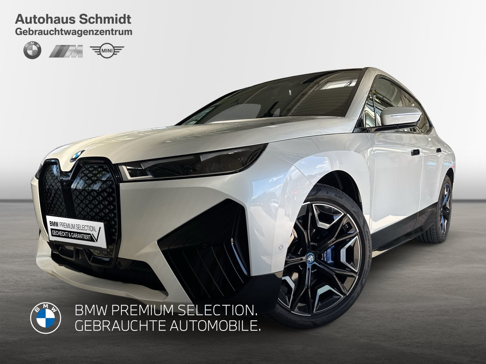 BMW iX