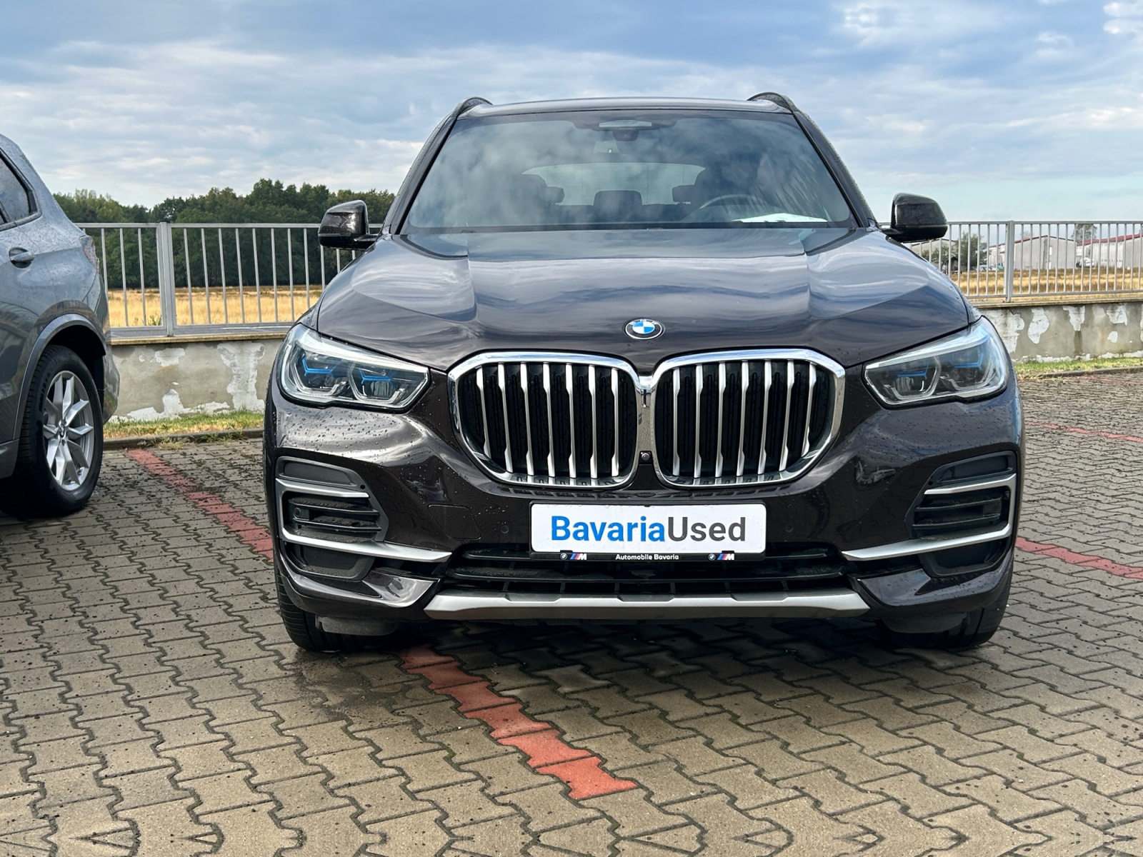 BMW X5, X5 XDRIVE30D, 2023, 44338 km