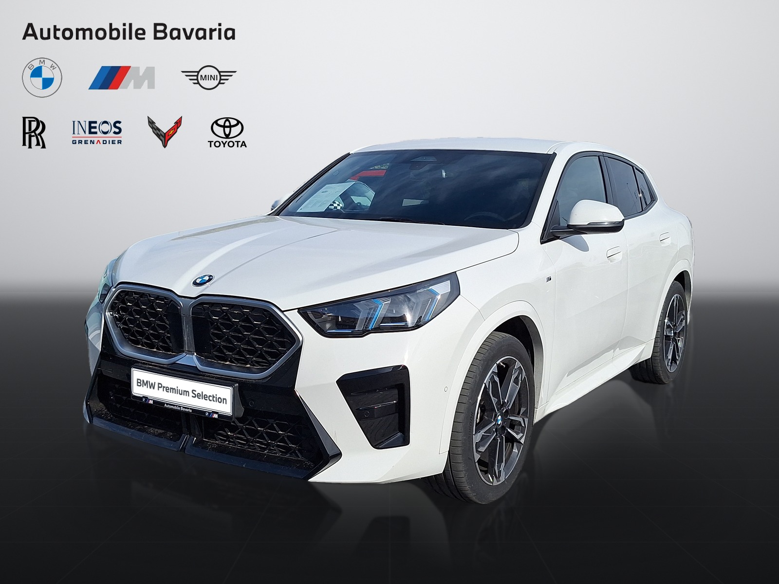 X2 XDRIVE20D X2 XDRIVE20D